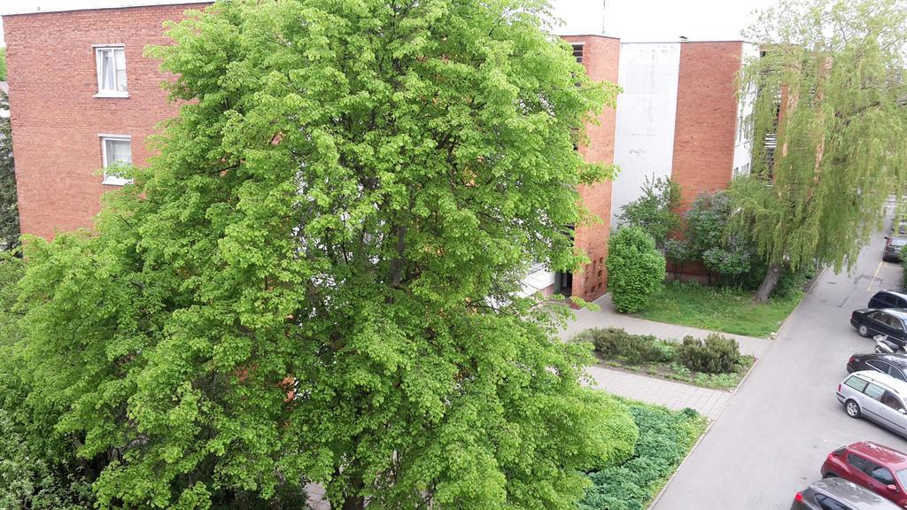 Apartment Amber Sky Паланга Экстерьер фото